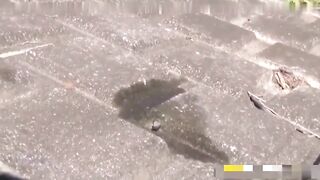 高中生野外放尿比赛